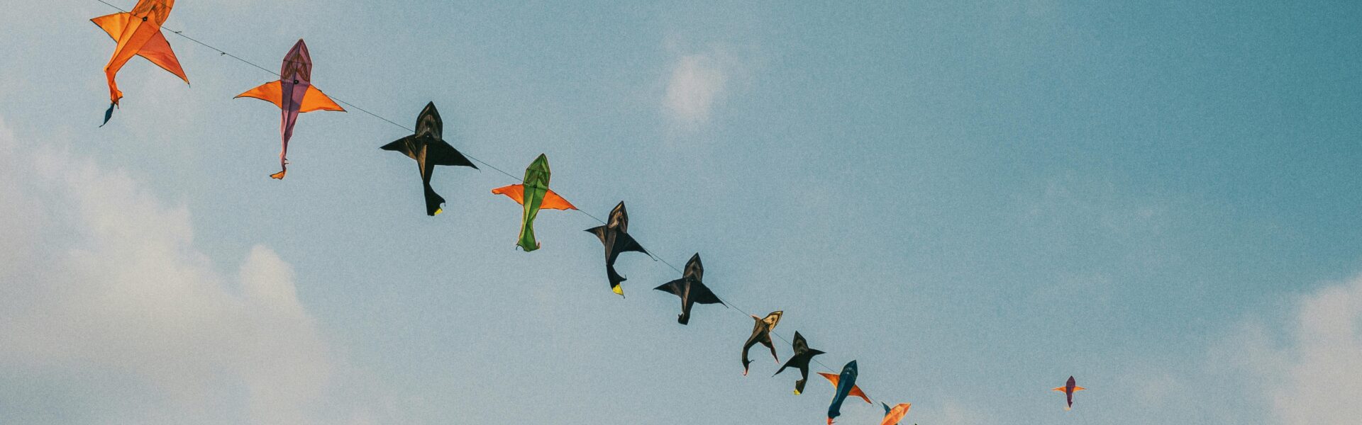 Makar sankranti kite flying